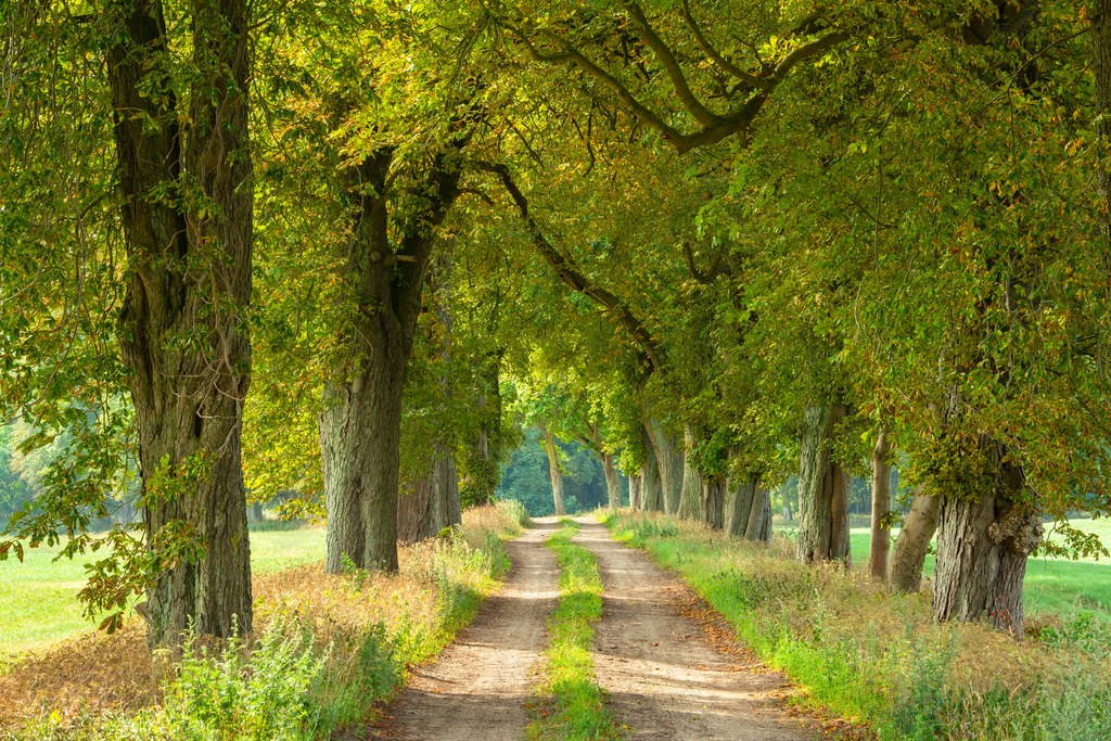 © AVTG - Fotolia