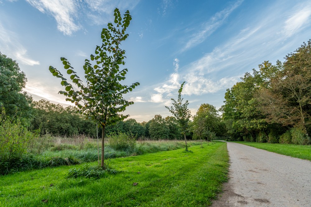 Foto: Stadt Neuss